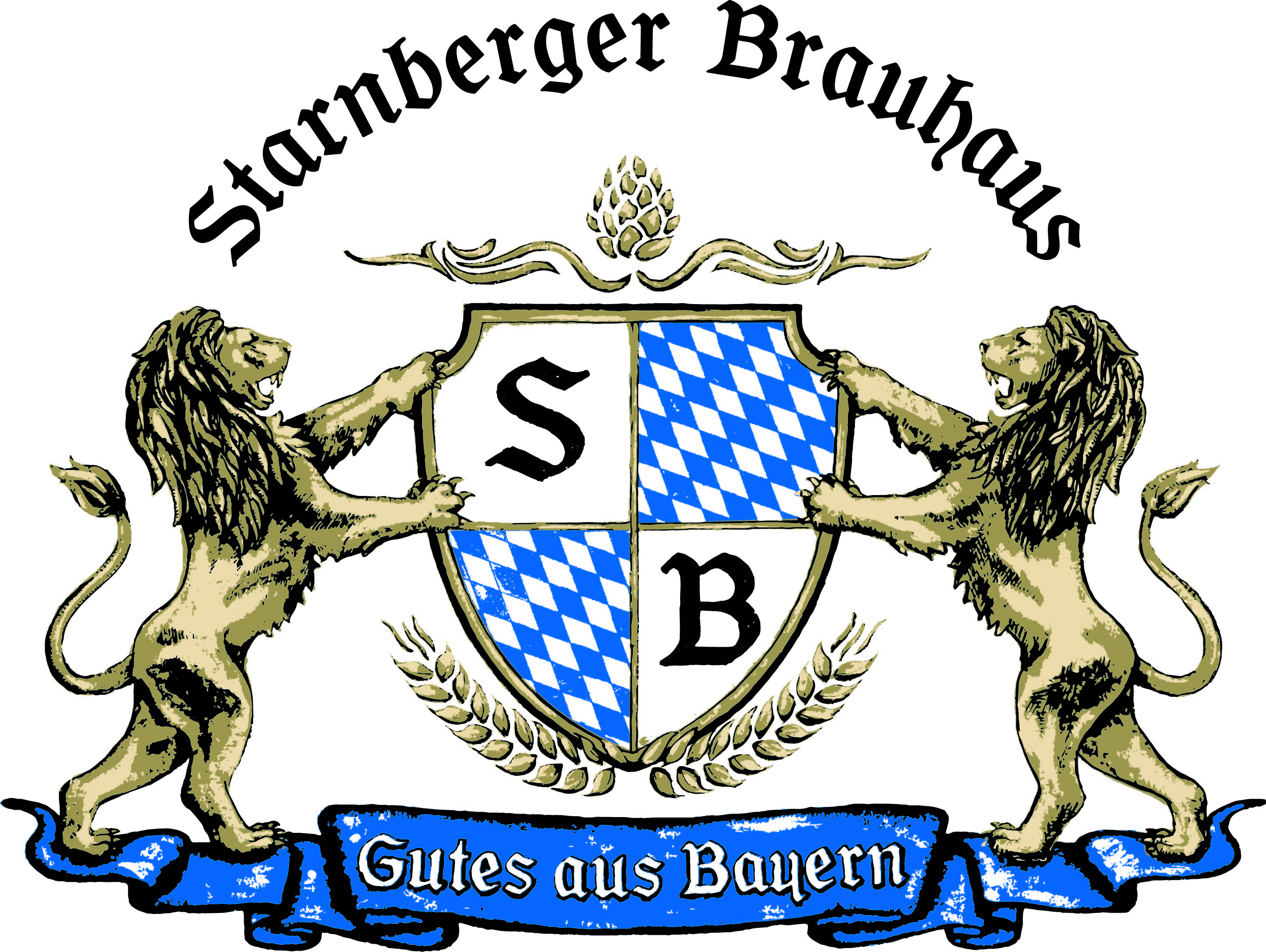 starnberger_international_logo_special colors_simplified_high.jpg