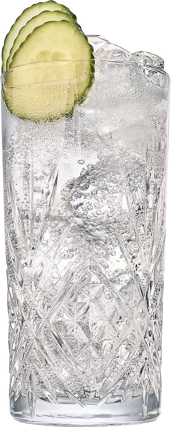 Gin_Dry_Tonic_Hendricks.jpg