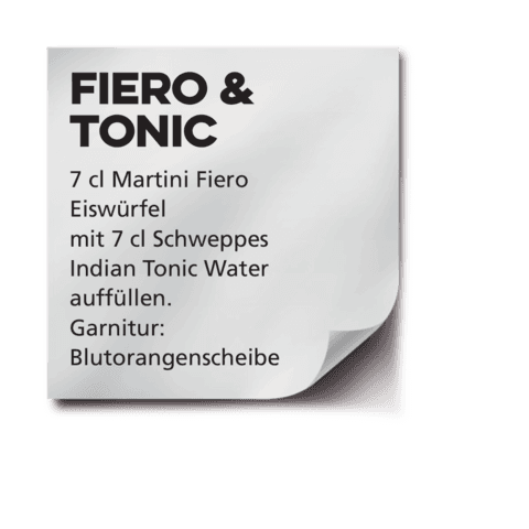 Fiero & Tonic.pdf