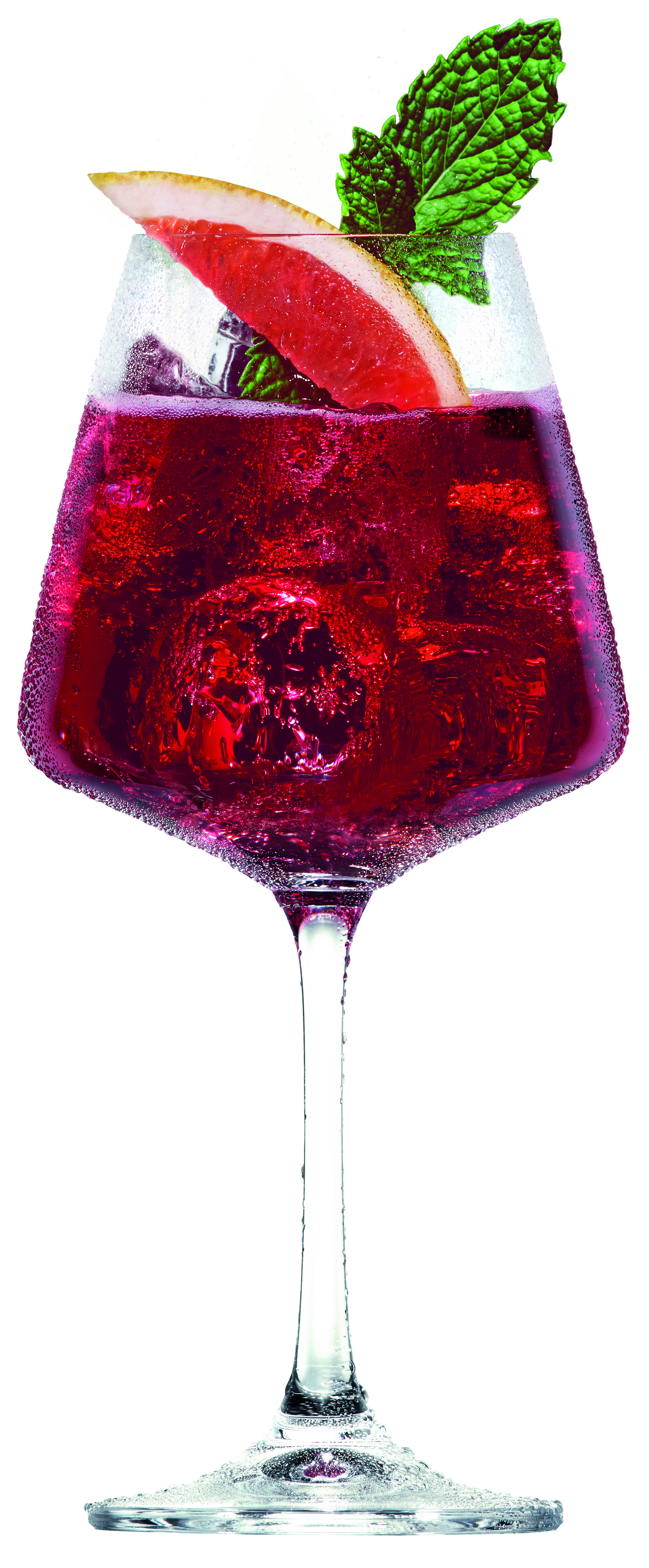 Martini Floreale Pomegranate.jpg