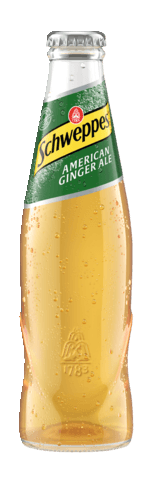 Ginger_Ale_02l_MW_Durchsicht.tif