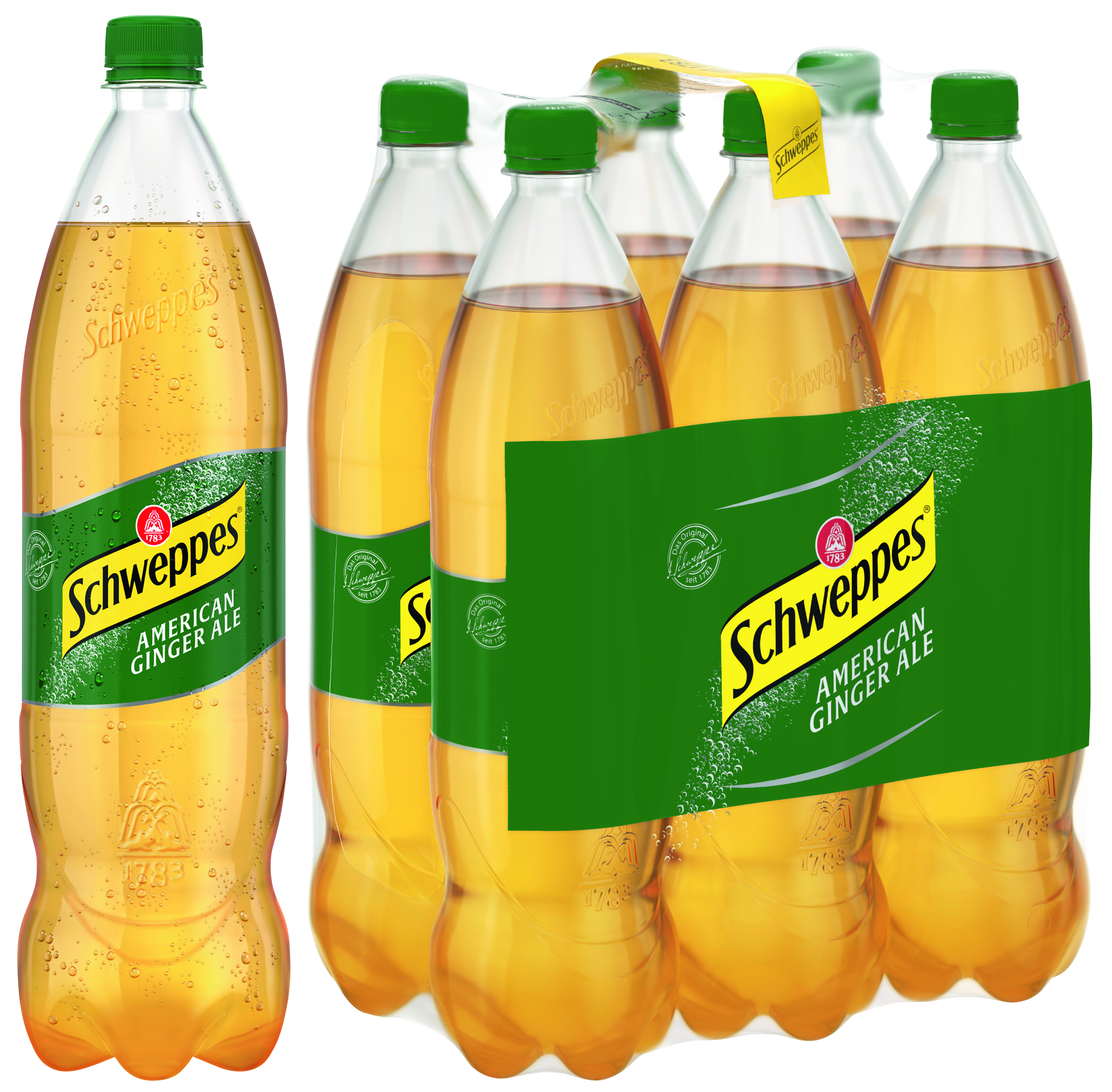 Ginger_Ale_6x125l_EW_Shrink.jpg