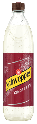 Ginger_Beer_1l_MW_Durchsicht.tif