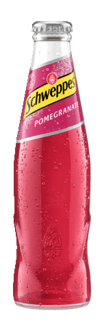Pomegranate_02l_MW_Durchsicht.tif