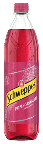 Pomegranate_1l_MW_Durchsicht.tif