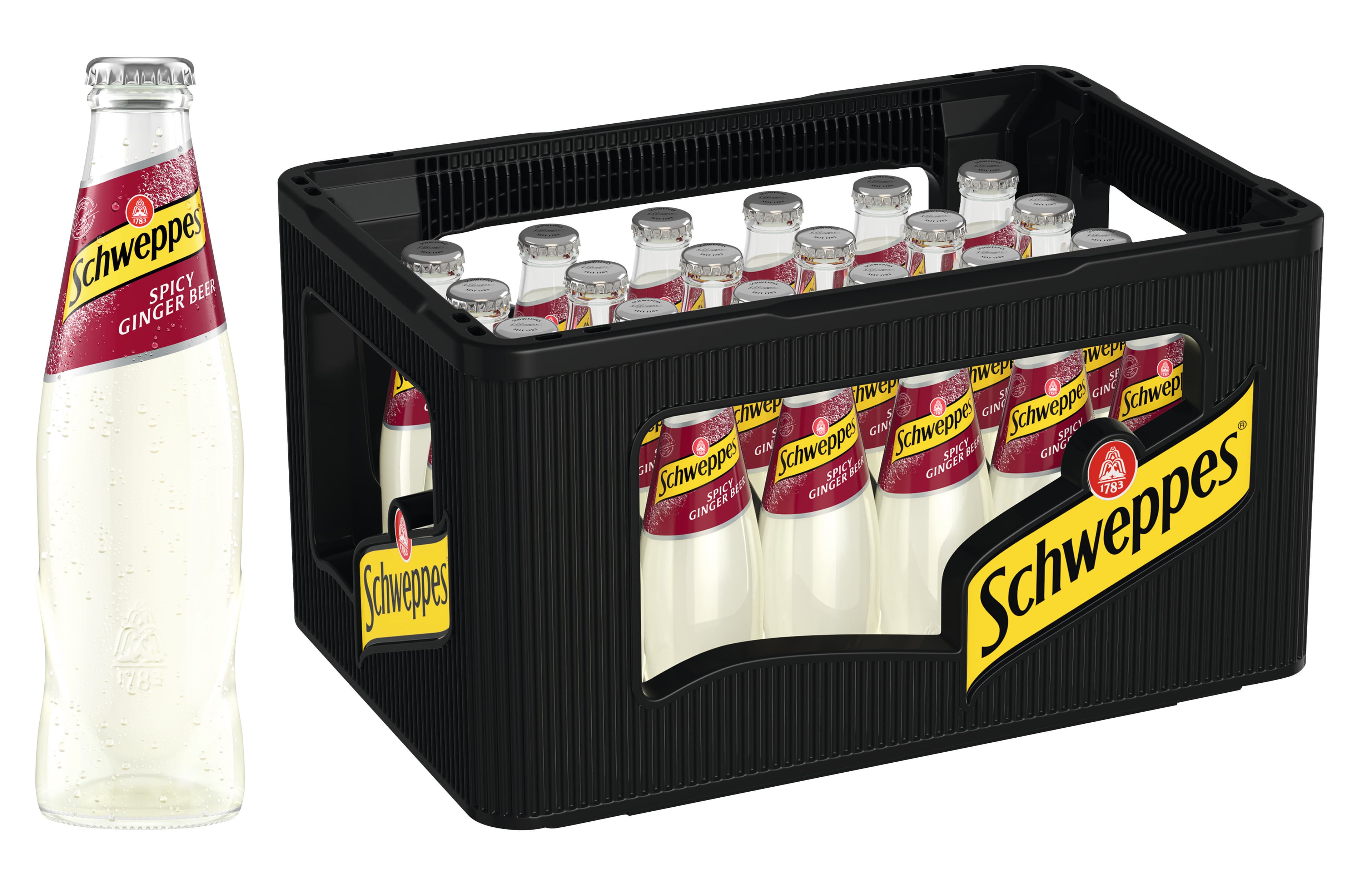 Spicy_Ginger_Beer_24x02l_MW.jpg