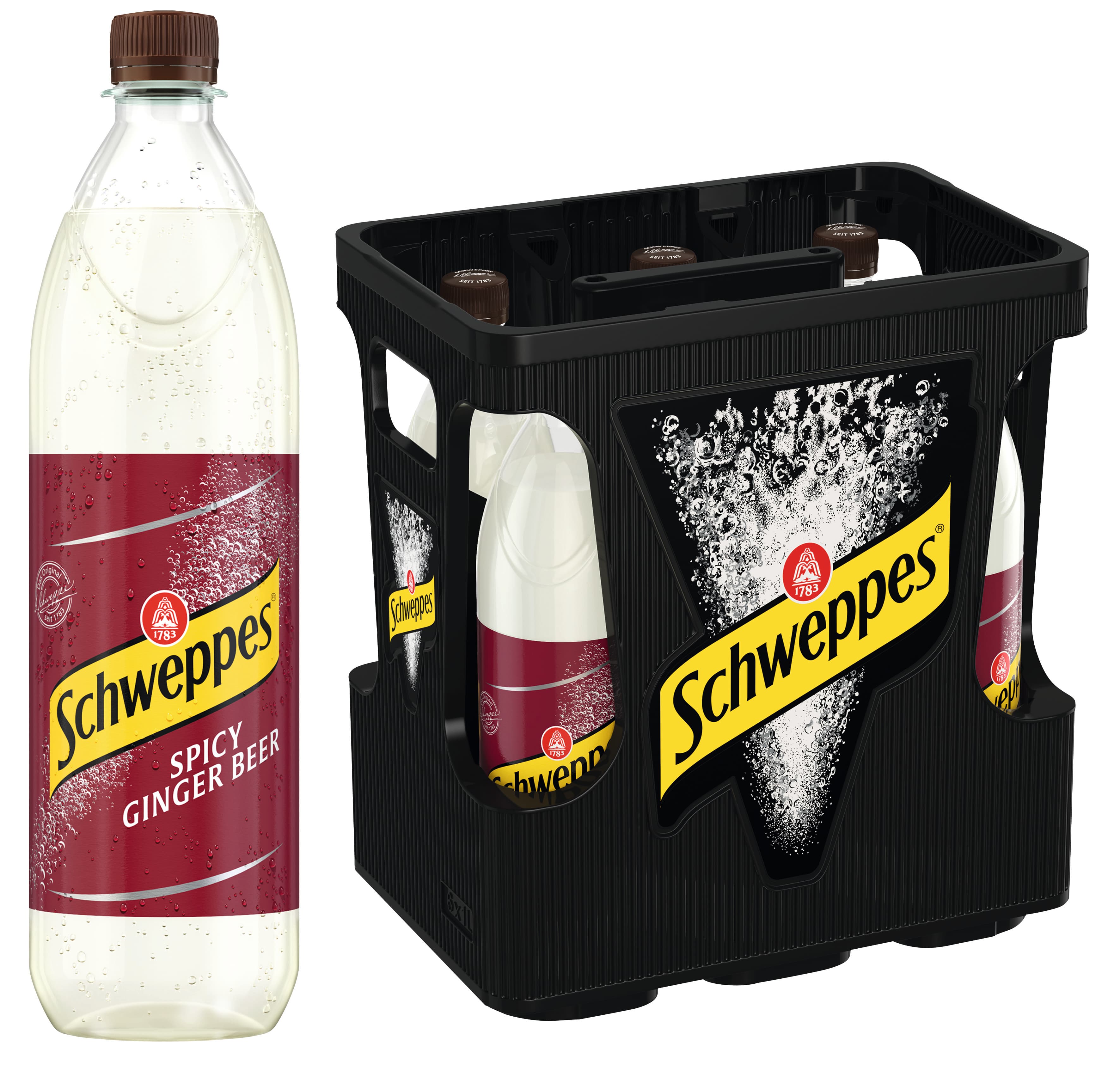 Spicy_Ginger_Beer_6x1l_MW.jpg
